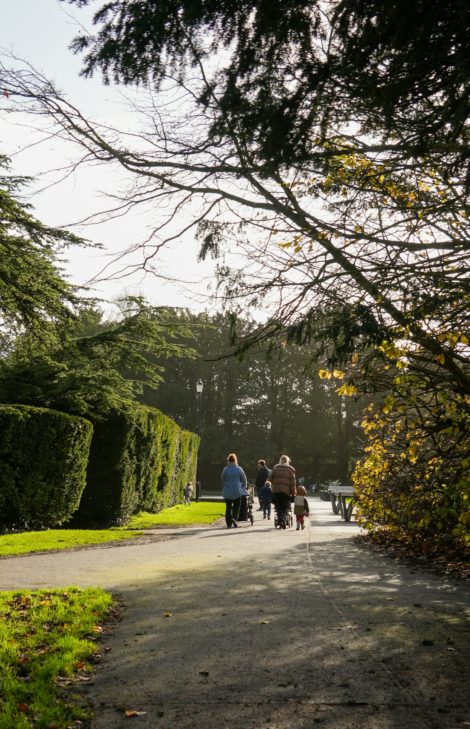 Family members walking along a tree-lined park path